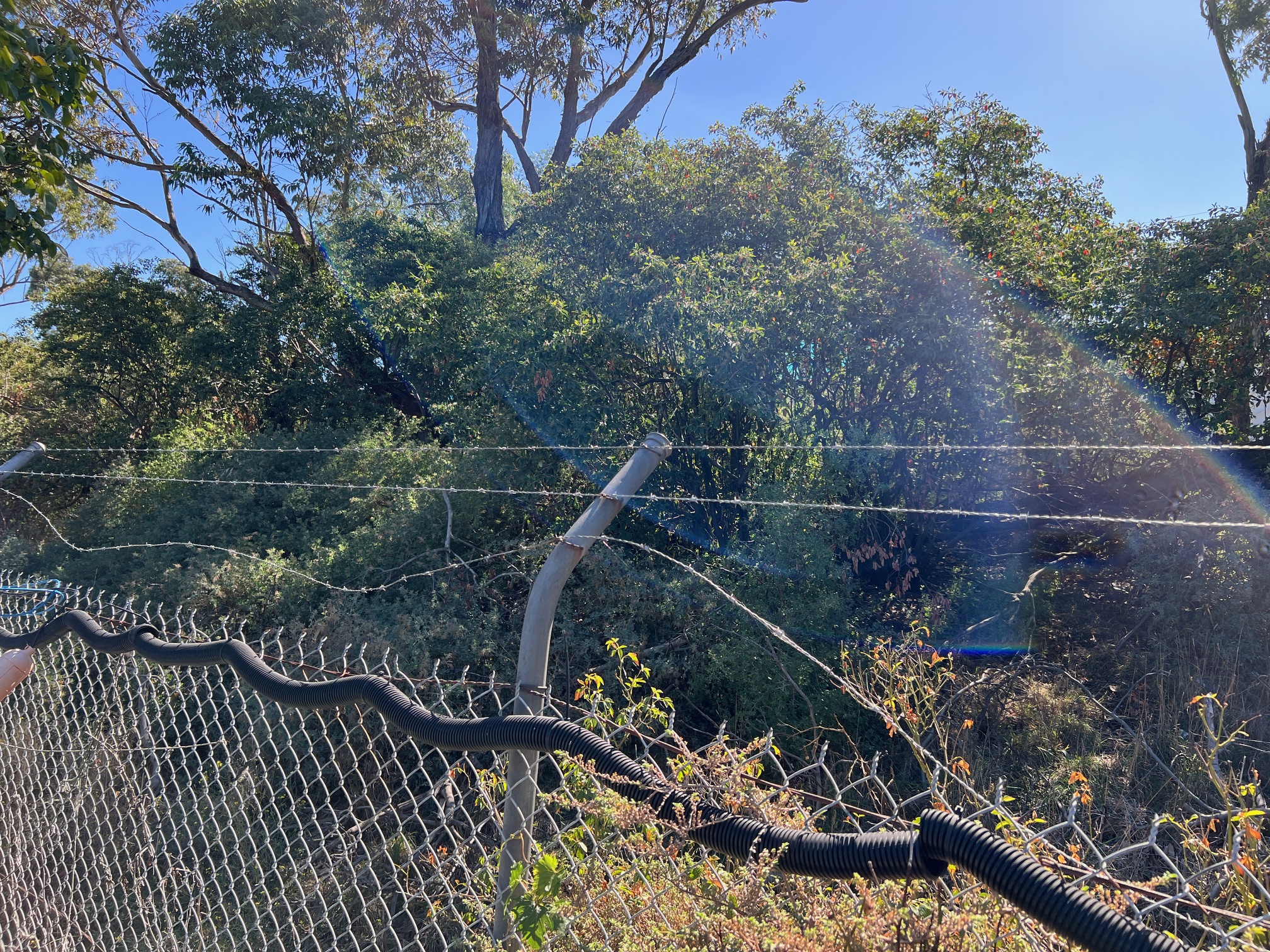 Reserve Photo 1