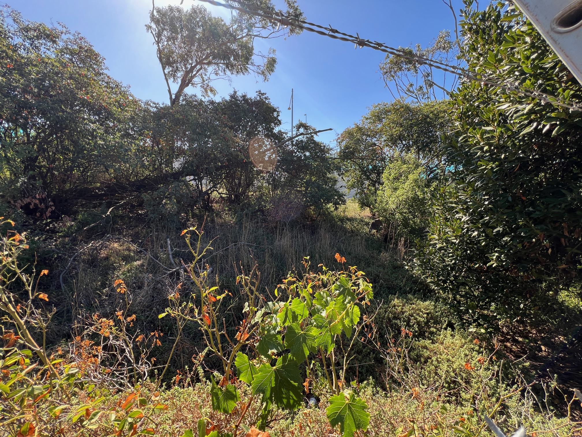 Reserve Photo 2