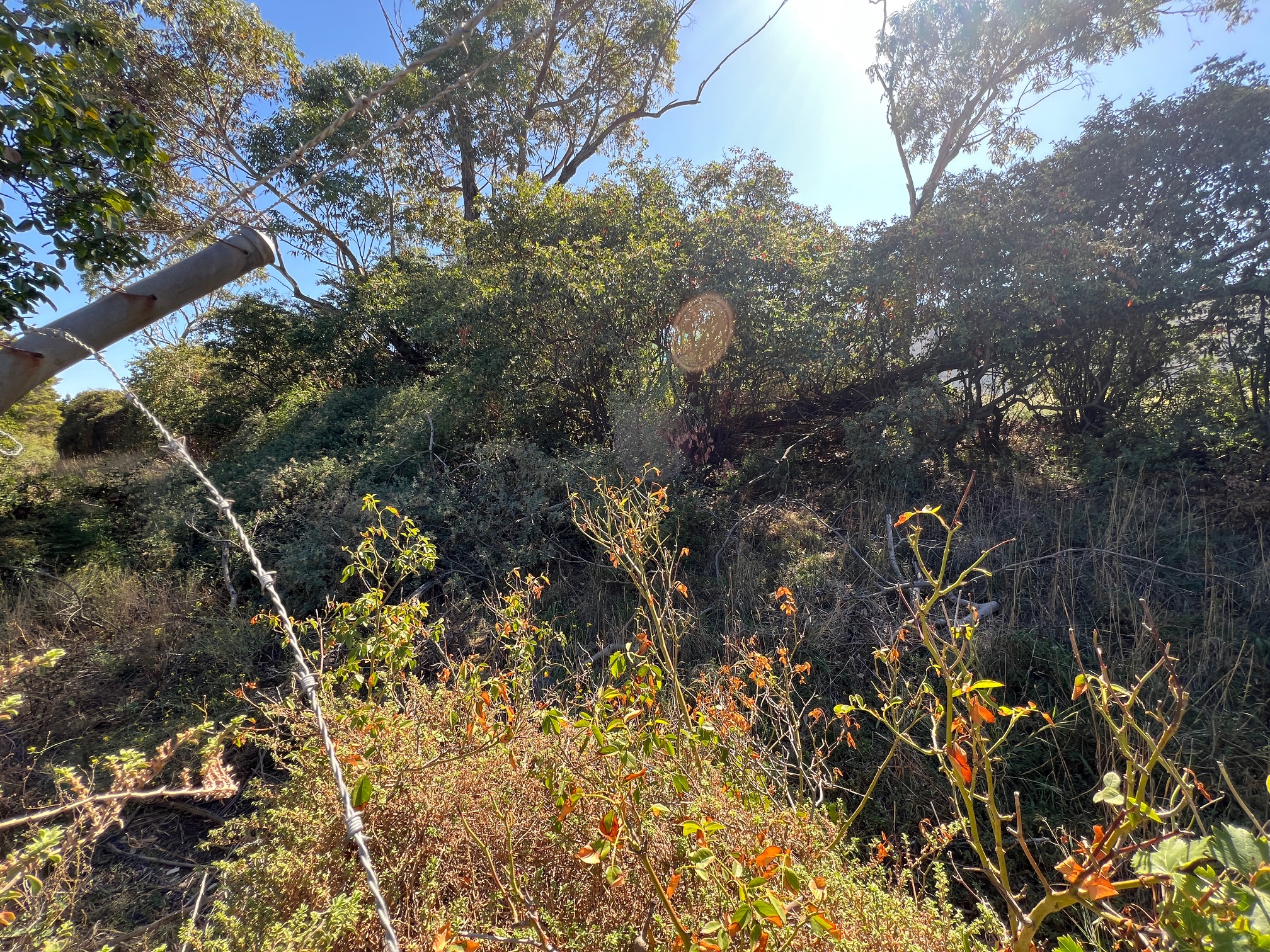 Reserve Photo 3