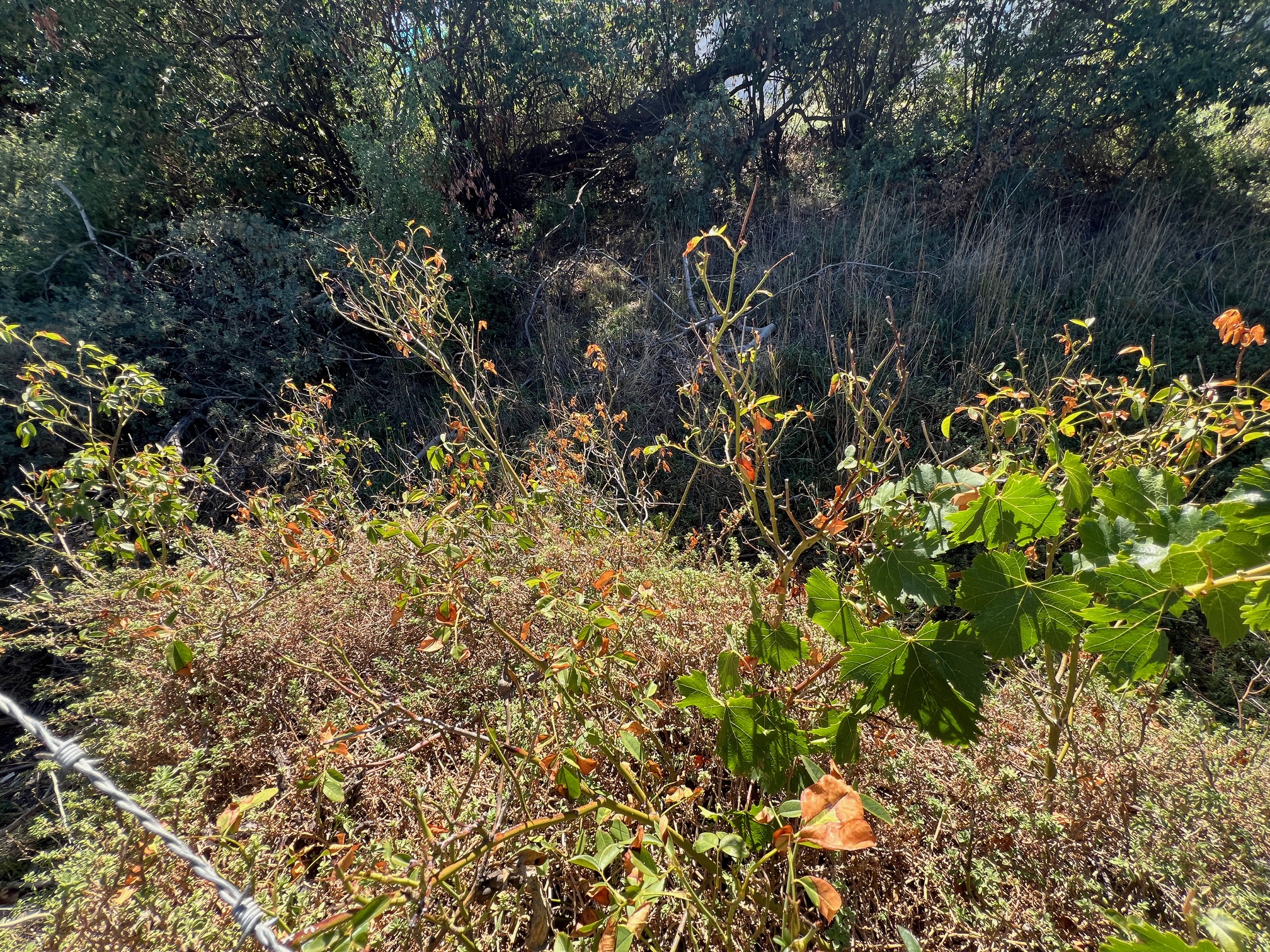 Reserve Photo 4