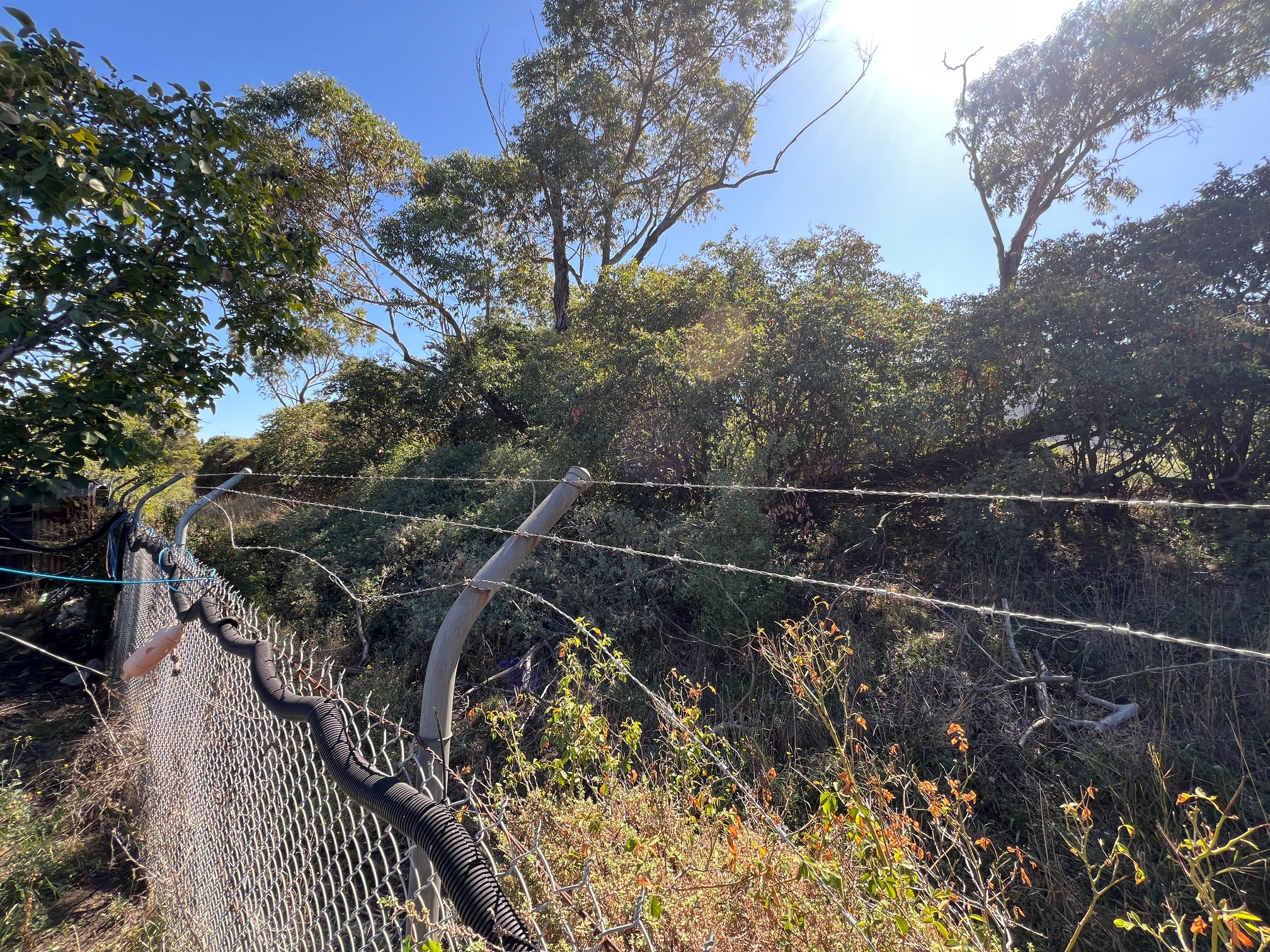 Reserve Photo 6