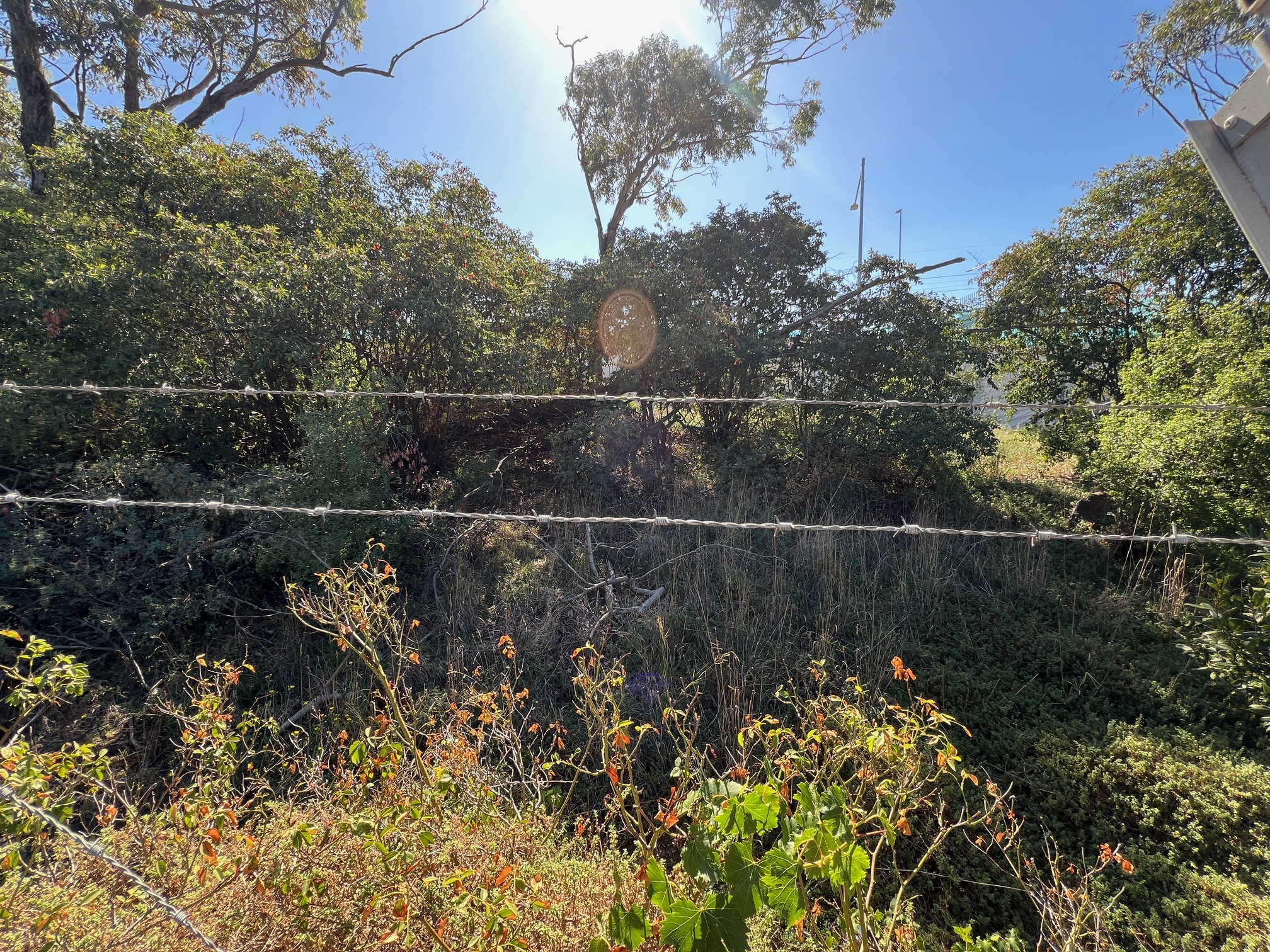 Reserve Photo 7