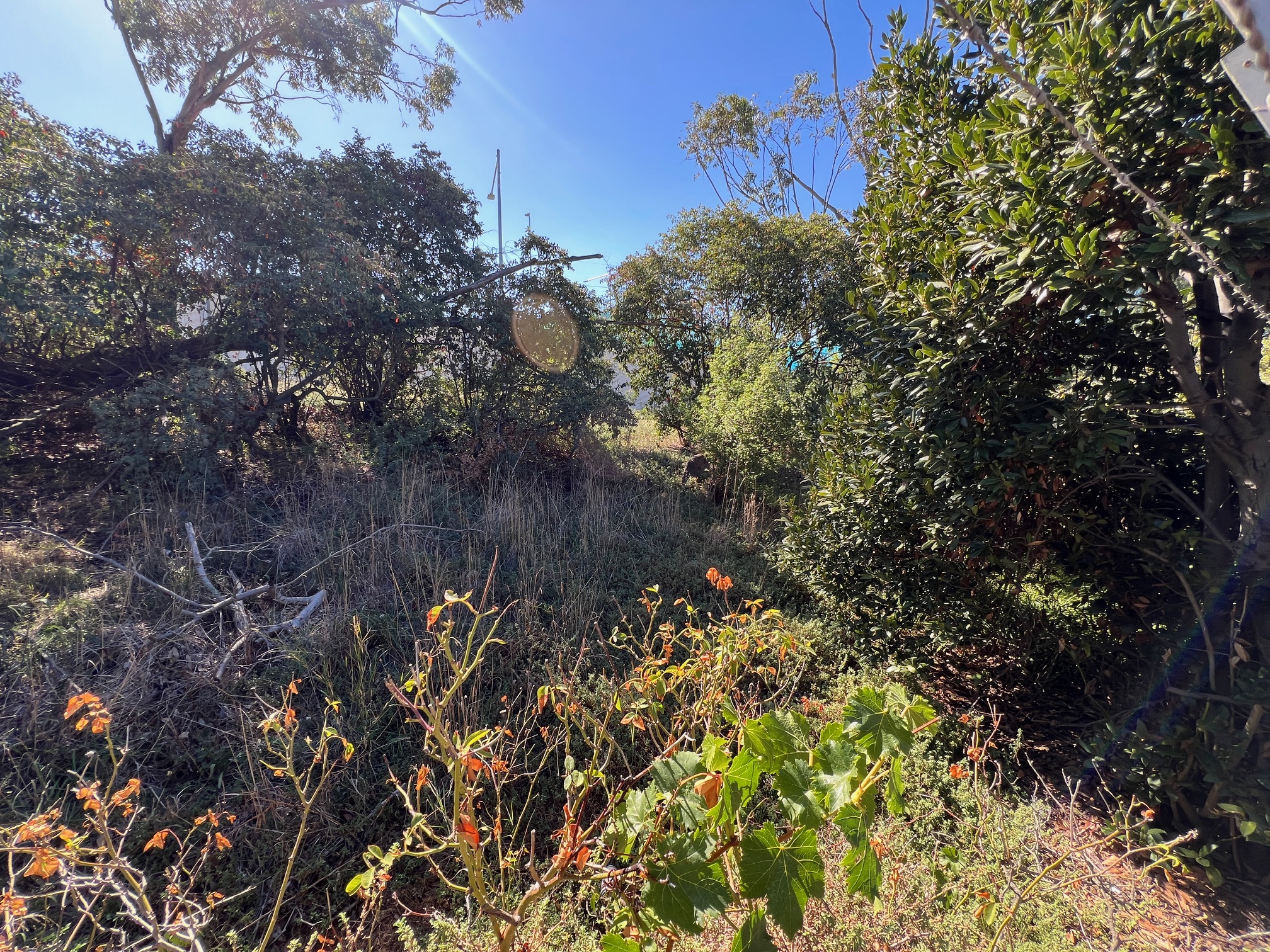 Reserve Photo 8